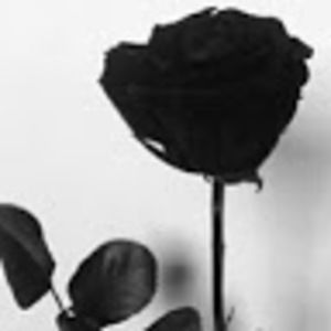 Meet your Posher, Angji marku